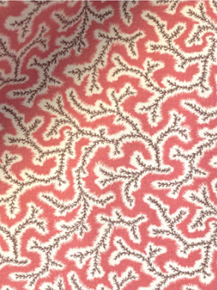 Dulcie 02 - Coral