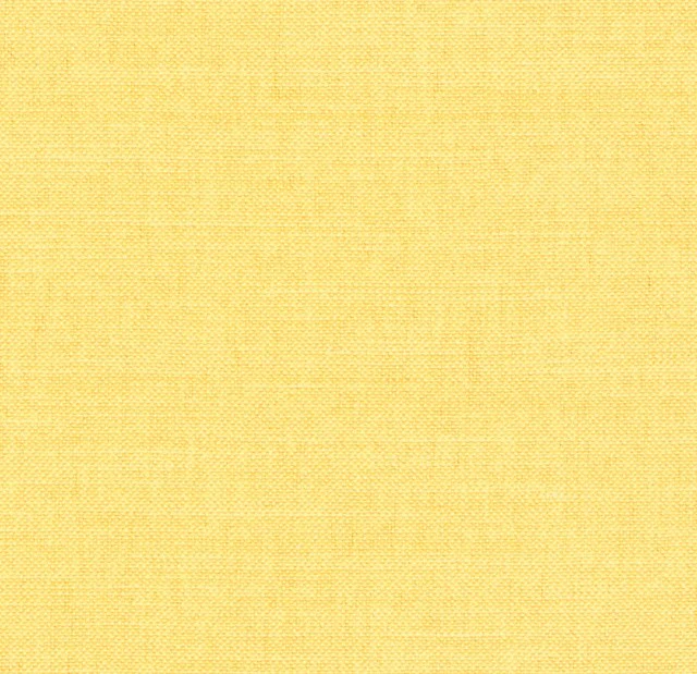 Mimosa 26 - yellow