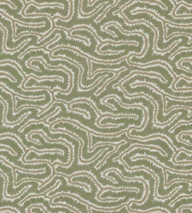 Noyack 01 - Kelp